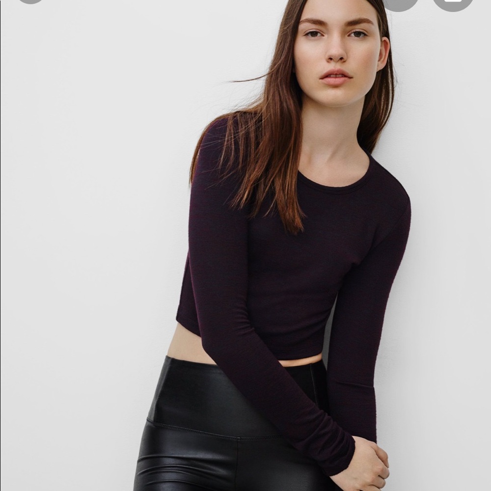 Aritzia Wilfred free cropped sweater